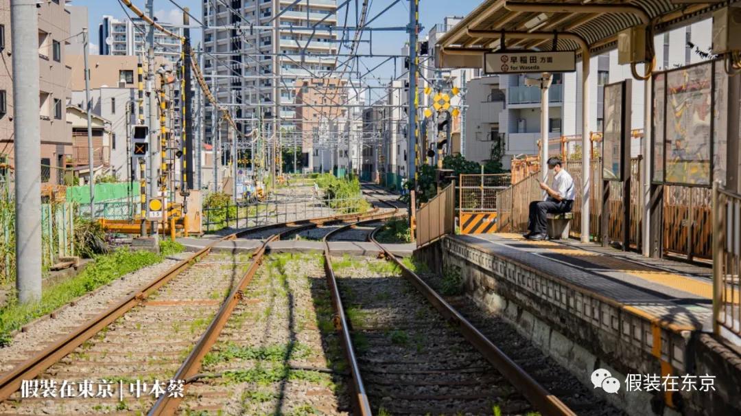 365张照片回顾,365张相片