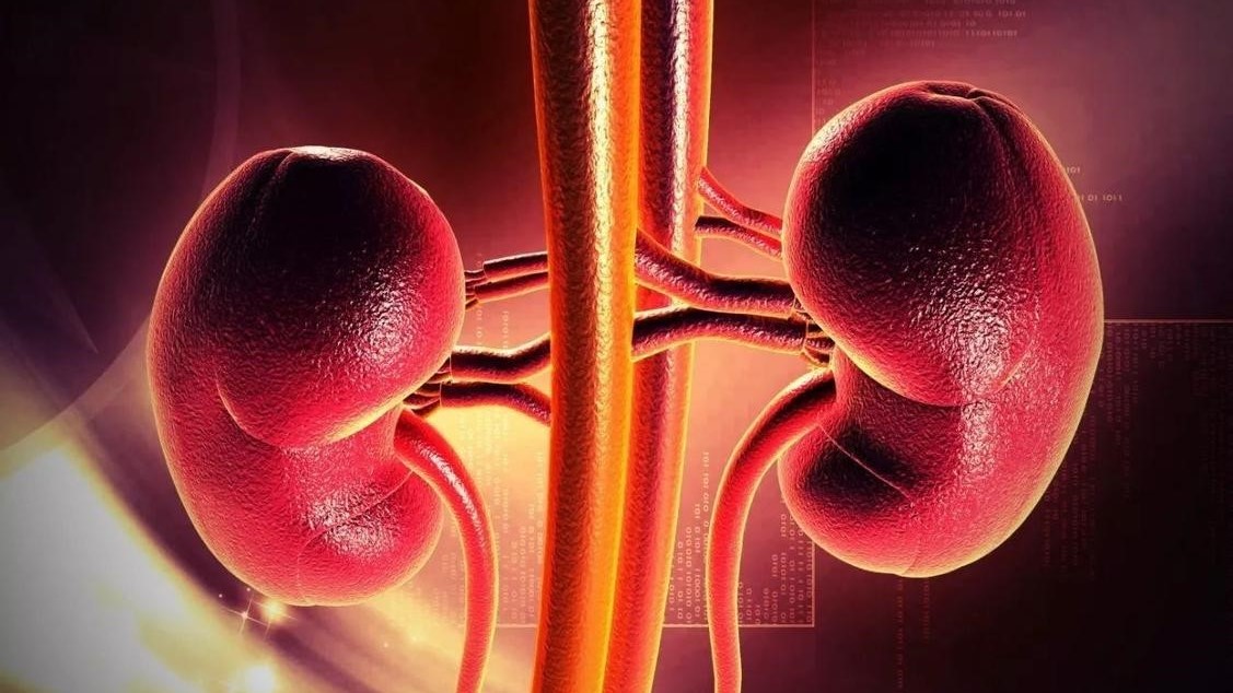 尿路感染反复发作去哪里就医,发现有尿路感染吃什么药好