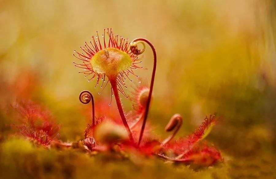 七年之痒短篇结局,七年之痒短片