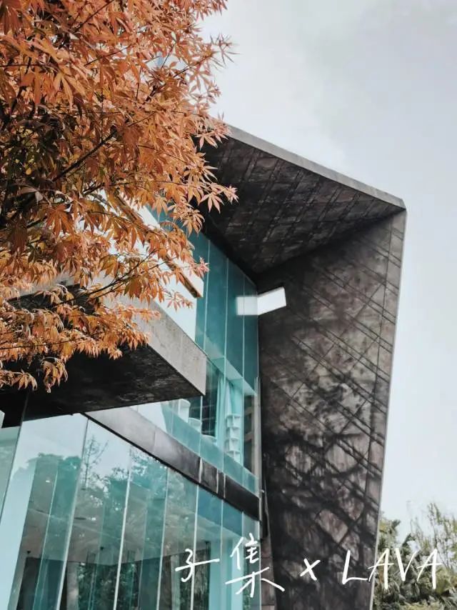 中和子集，来了！