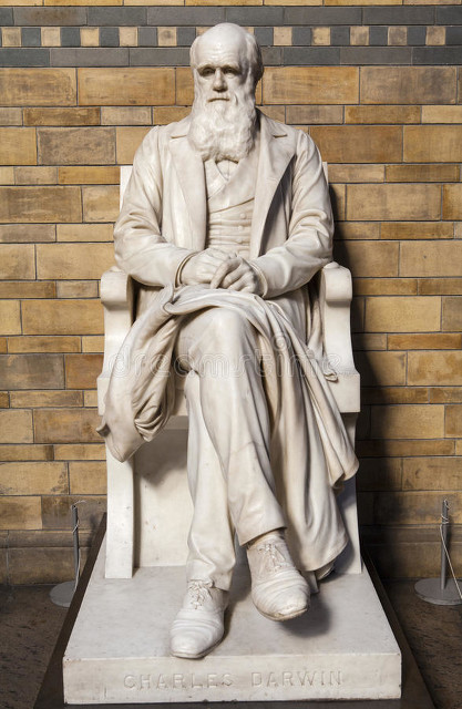 达尔文进化论核心学说,达尔文进化论提出了什么学说