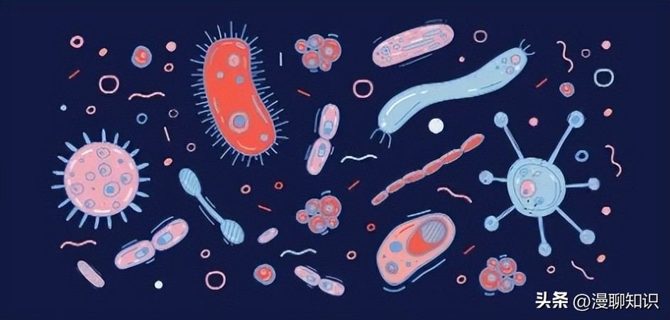 马传染性子宫炎传染性较强，它的传播途径有哪些