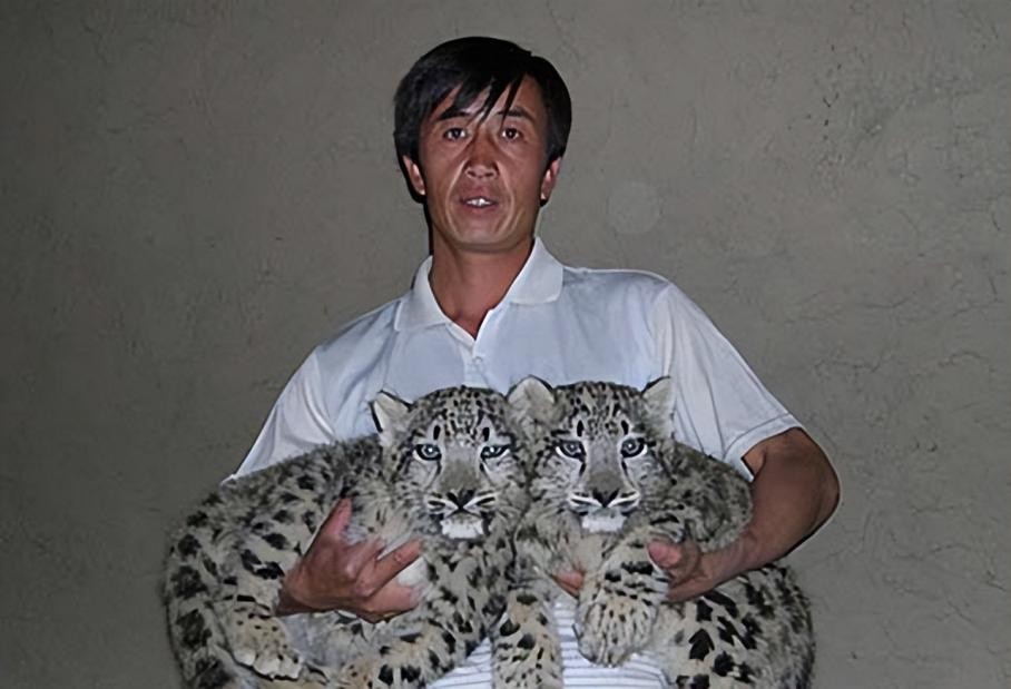 08年新疆牧民捡两只猫崽,新疆牧民捡猫发现是雪豹