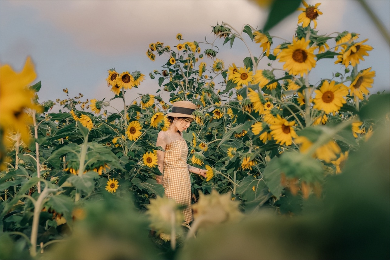 向日葵人像摄影后期技巧,拍向日葵人像参数设置