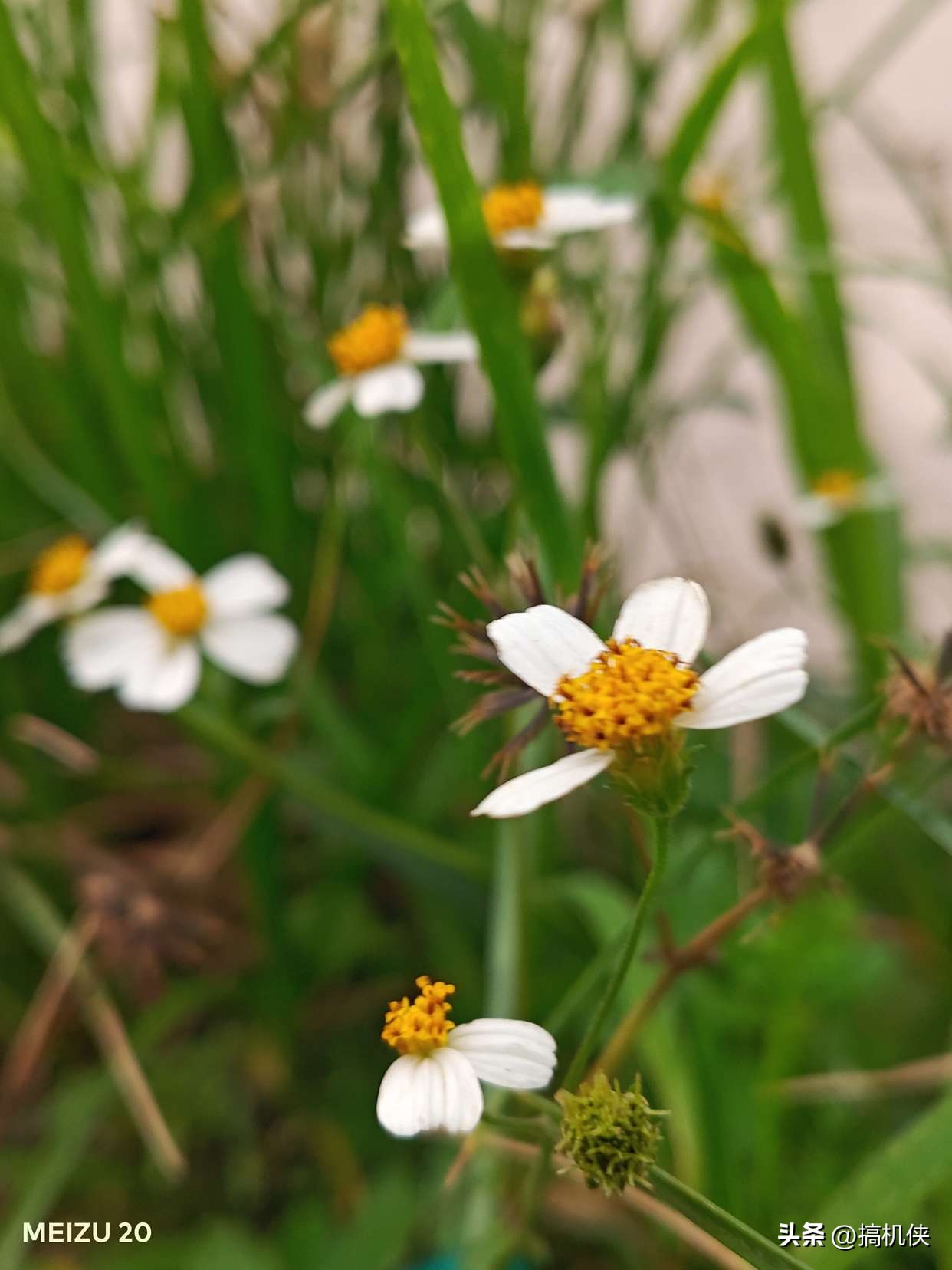 魅族20升级flyme10.5,魅族20flyme最新系统好不好