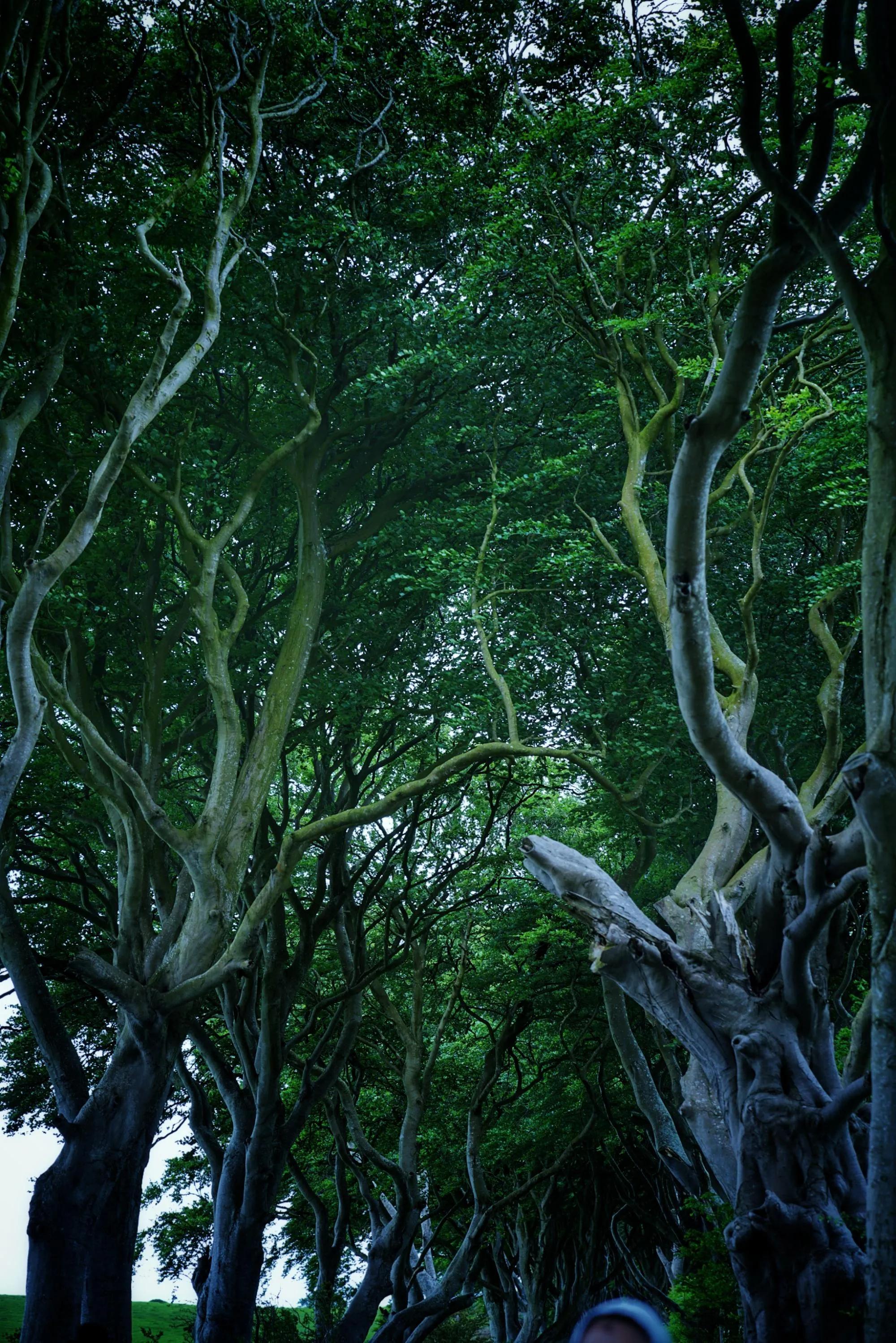 英伦三岛贝尔法斯特,体验权力的游戏