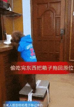 78个真实有趣的照片：山顶的足球场，老树与佛像，老司机脸部皮肤