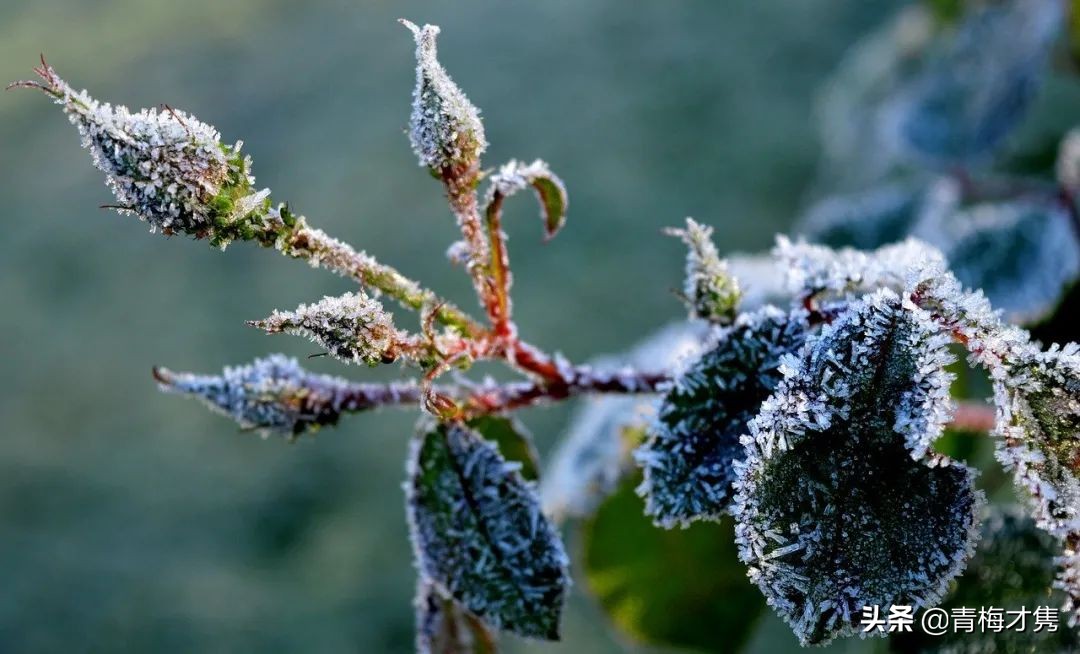 中学生自创诗歌关于青春,中学生创作的唯美简短诗