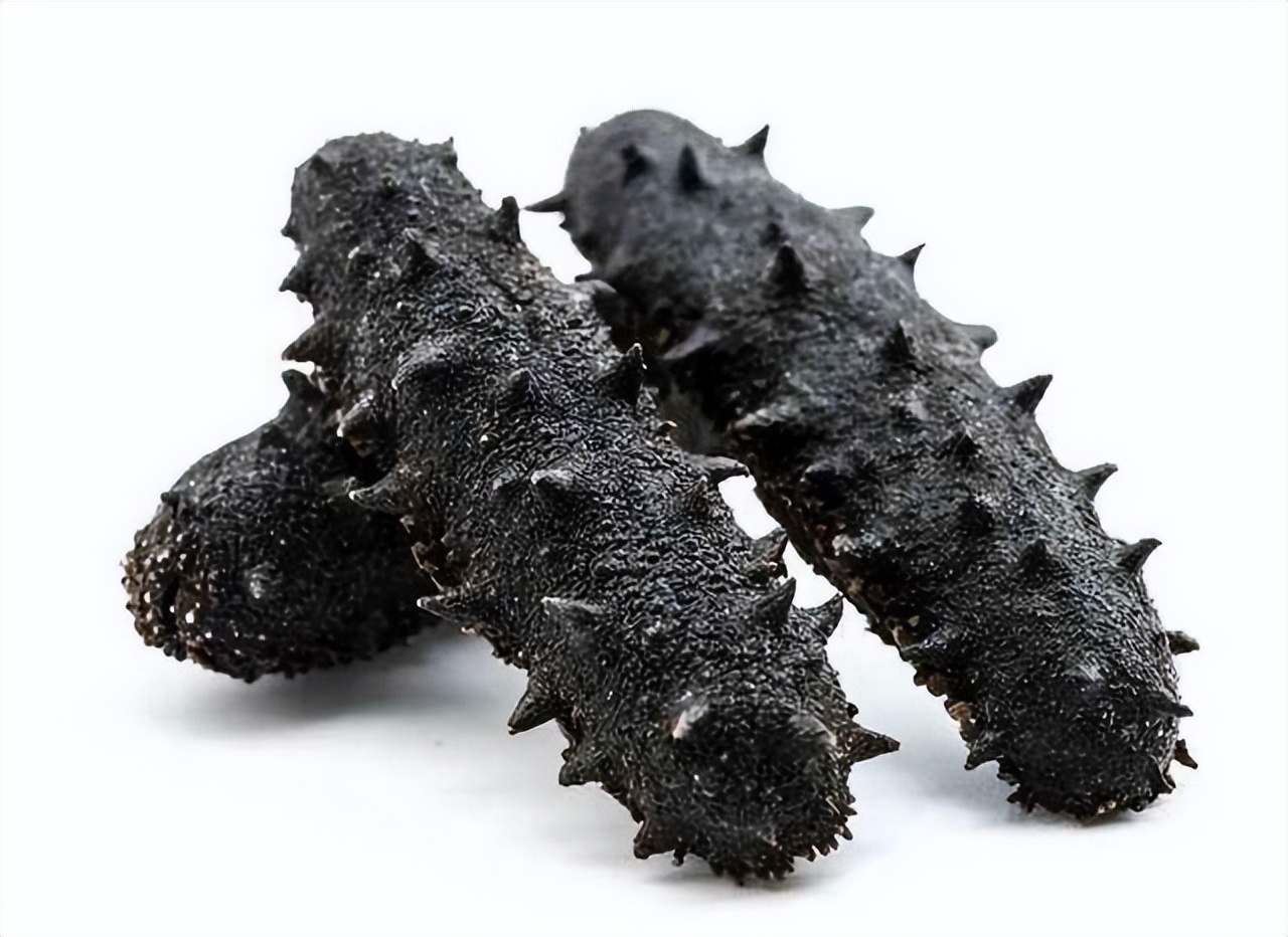 北极海参和辽参哪种价格高,辽参鲜海参500克价格表