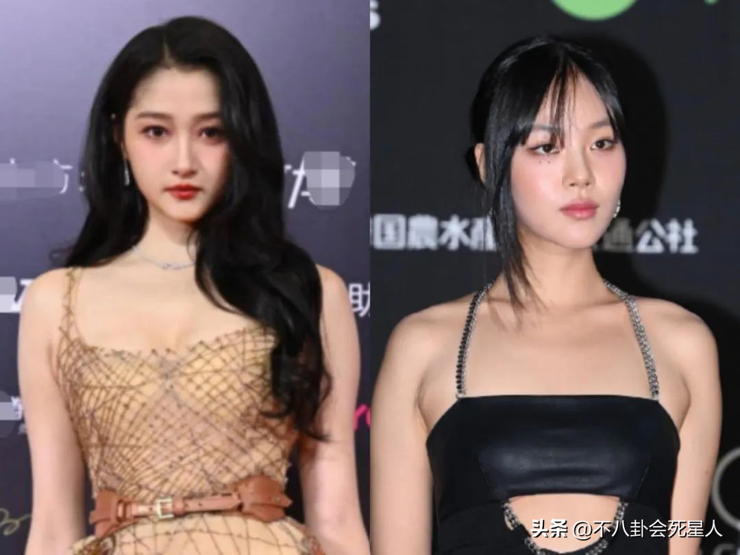 中韩红毯合集,中韩戛纳红毯对比