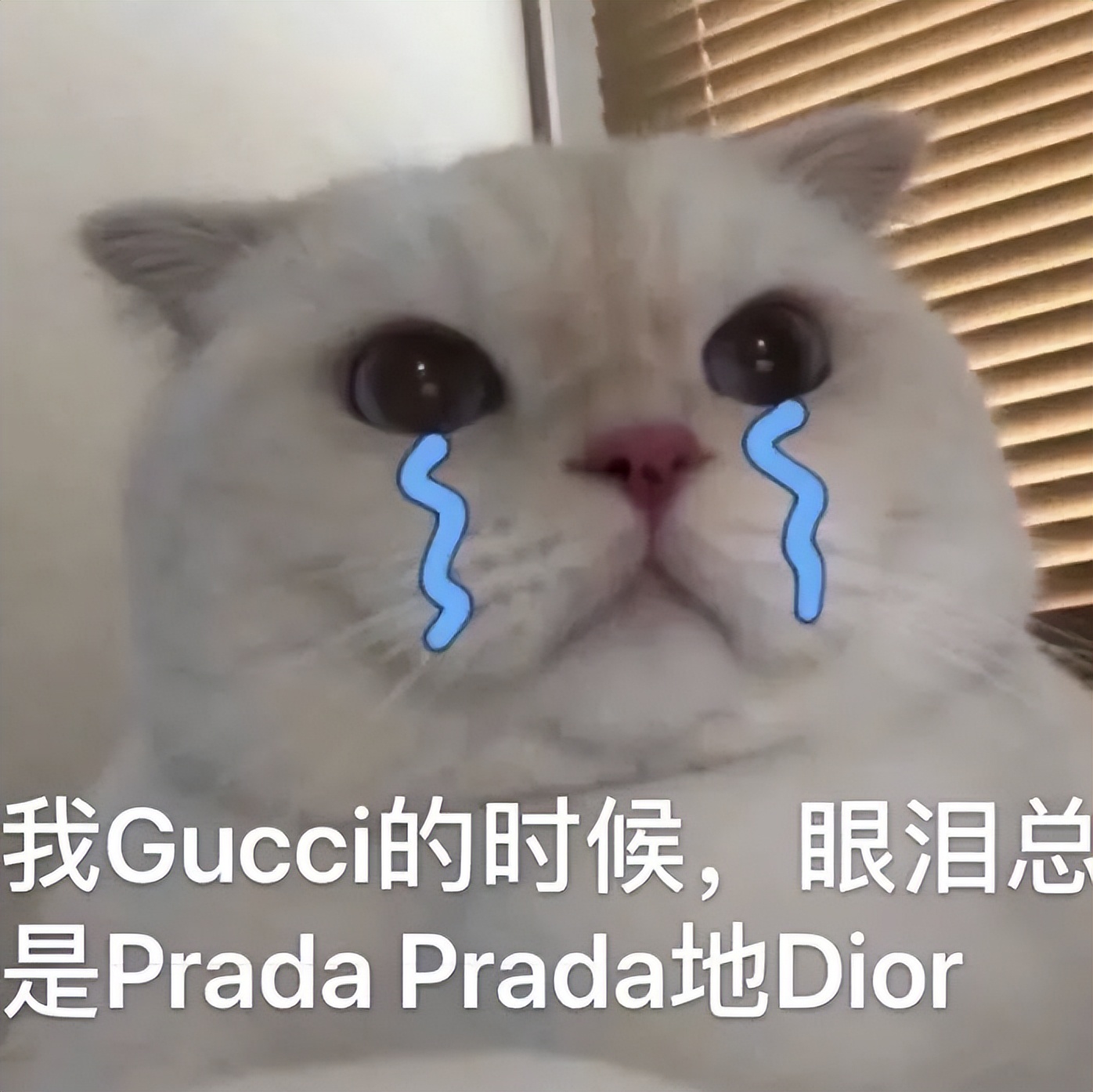 宝格丽明星珠宝晚宴直播,宝格丽晚宴明星珠宝价格