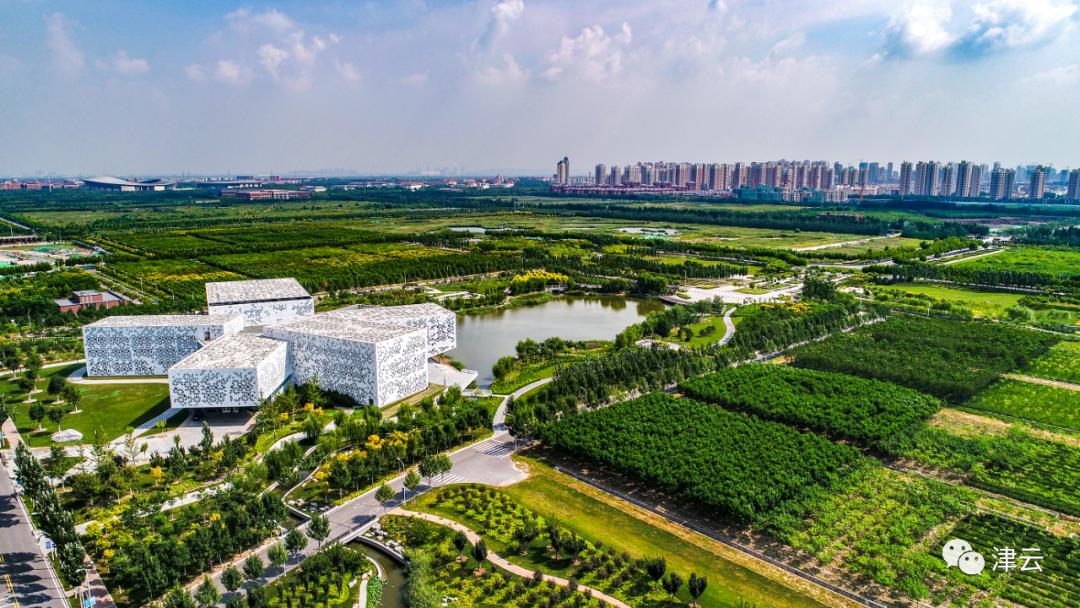 我和我的家乡天津介绍,我和我的天津