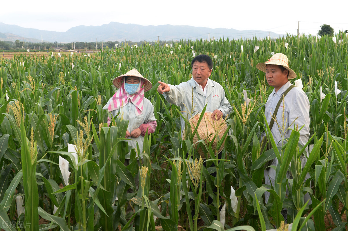 初中毕业的庄稼汉，成为十几亿资产公司的董事长，还是觉得大葱蘸酱最好吃