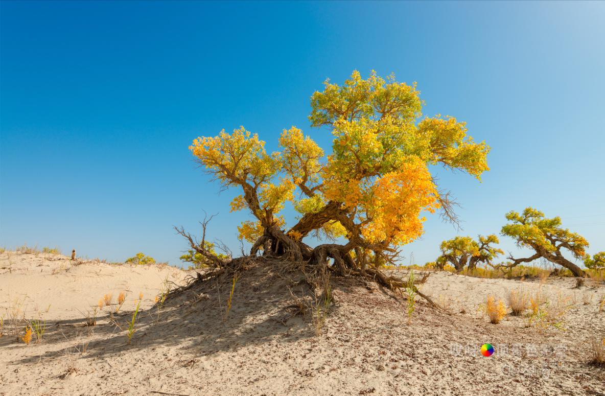 女司机带娃去新疆自驾游,带着女司机自驾游兰州