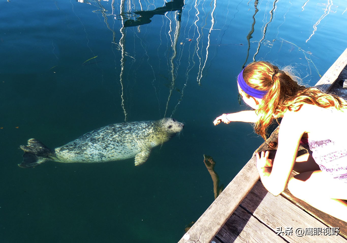 加拿大的维多利亚,加拿大四季如春的城市维多利亚