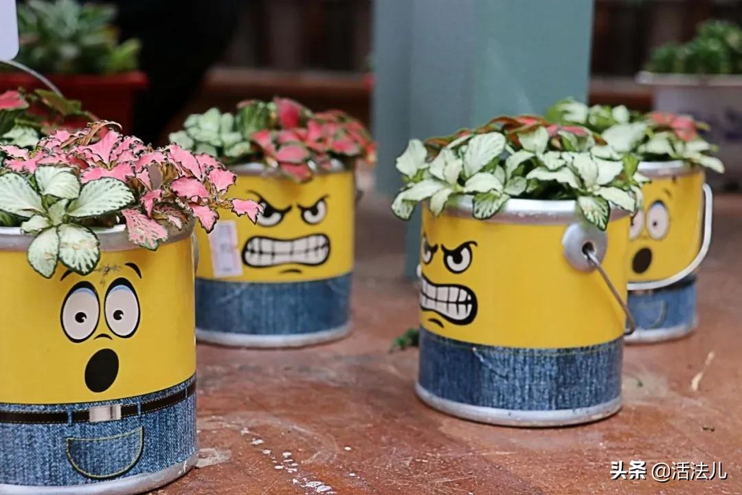 生气伤肝的影响,一直生气伤肝