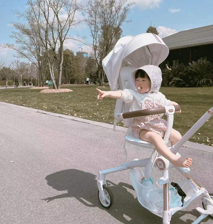 婴儿车品牌排名哪种婴儿车最实用,婴儿车品牌十大排名榜最新版