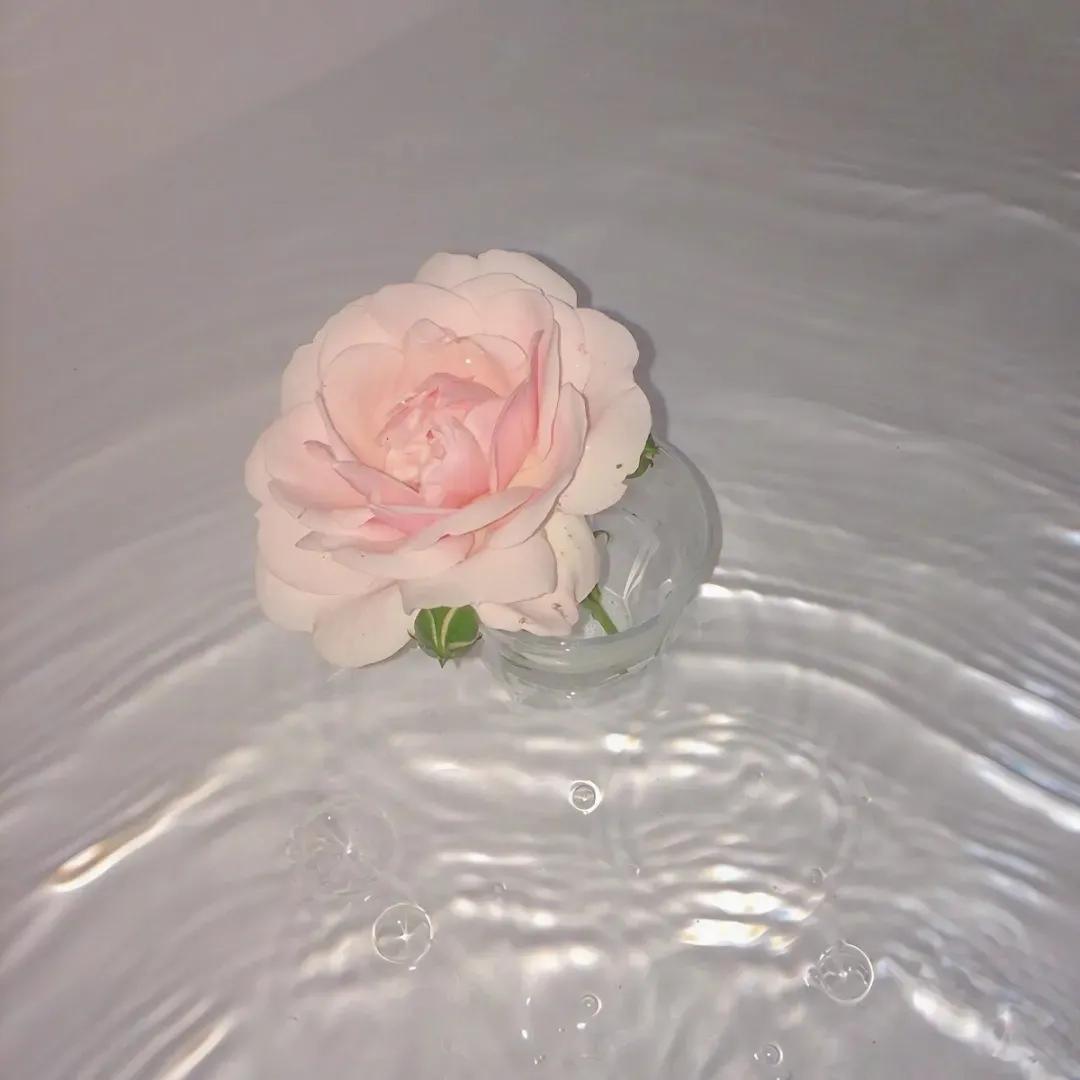 微信朋友圈上面的背景图,背景图微信朋友圈高级感