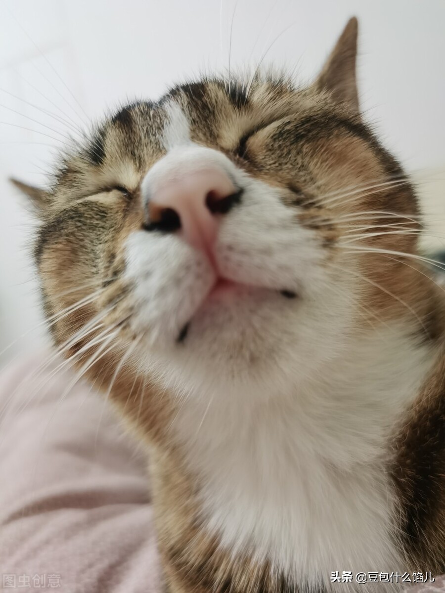 超搞笑40个短笑话段子,开心一刻幽默搞笑小笑话段子