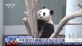 世界杯有多希望中国队参加,世界杯预测大师