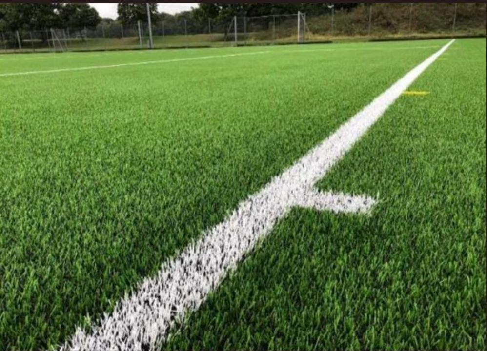 对Perdiswell的新3G足球场计划发表您的看法