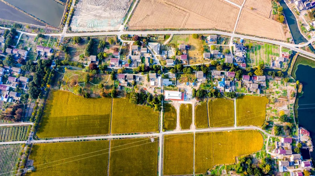 解析全国16个整村运营,解码全国16个整村运营经典案例