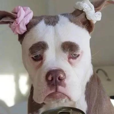 军旅笑话大全,军营笑话10则