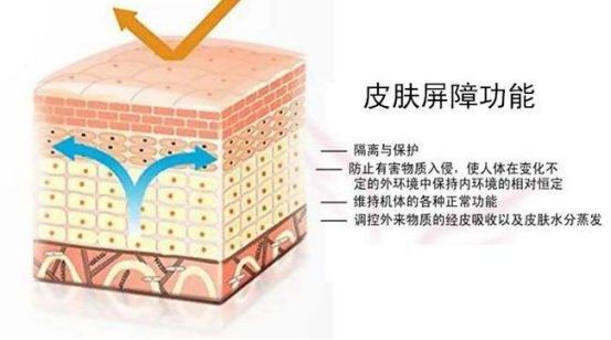 科普皮肤屏障受损该如何修复,如果是皮肤屏障受损该怎么修复