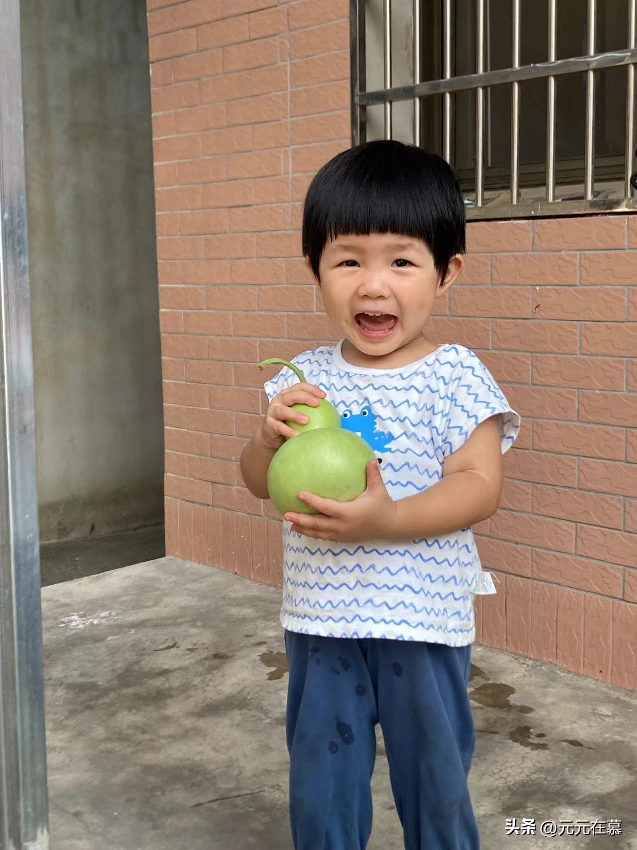 回农村是快乐的吗,回老家度假的快乐