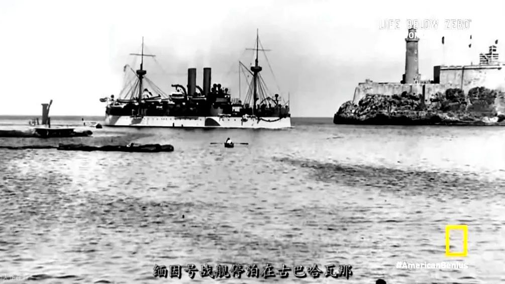 神仙打架！国家地理宝藏纪录片，教会孩子如何竞争