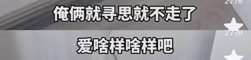 哈尔滨装修事件,哈尔滨江北装修事件后续