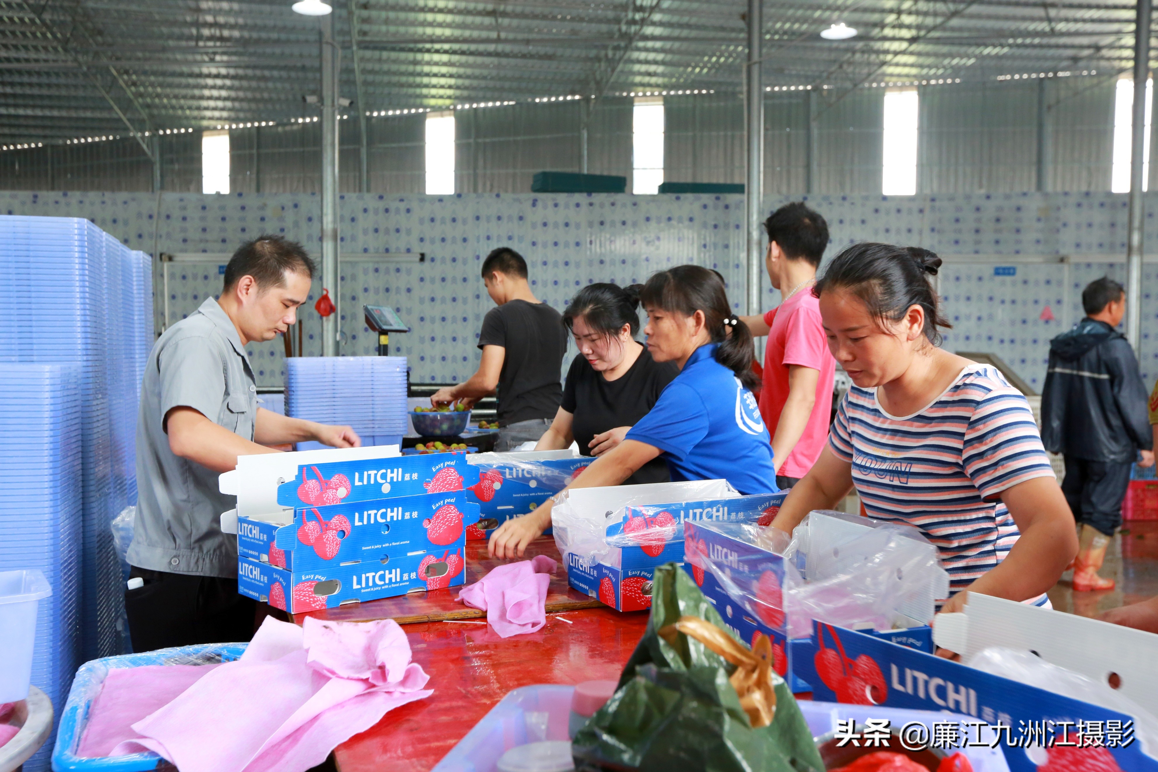 廉江吉水绿之源合作社,廉江市绿之渌分拣中心