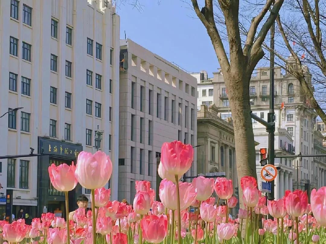 海贼王朋友圈背景图,朋友圈高级感背景图