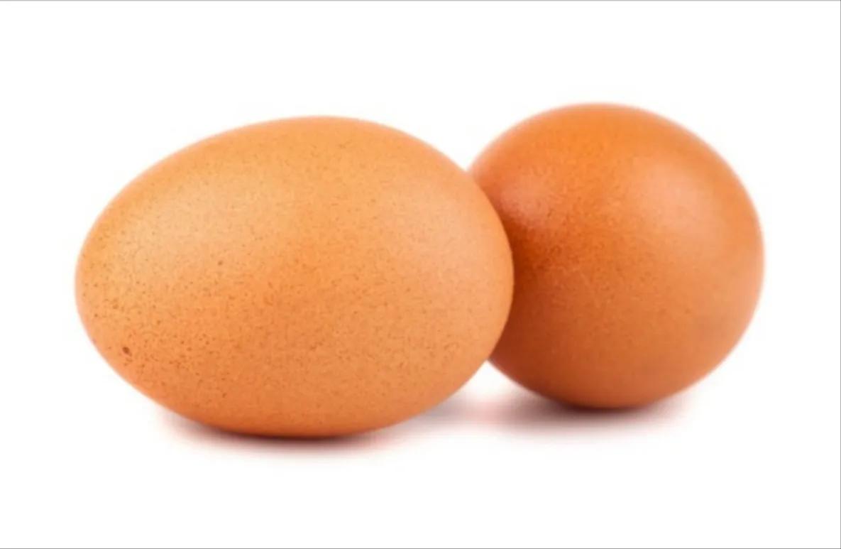 鸡蛋好吃活儿难干!男人们胡诌八扯了一番,各自回家找老婆去了