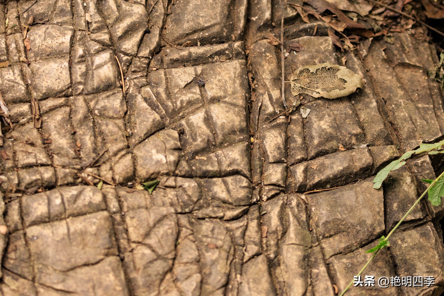 平谷老象峰风景区,北京平谷老象峰