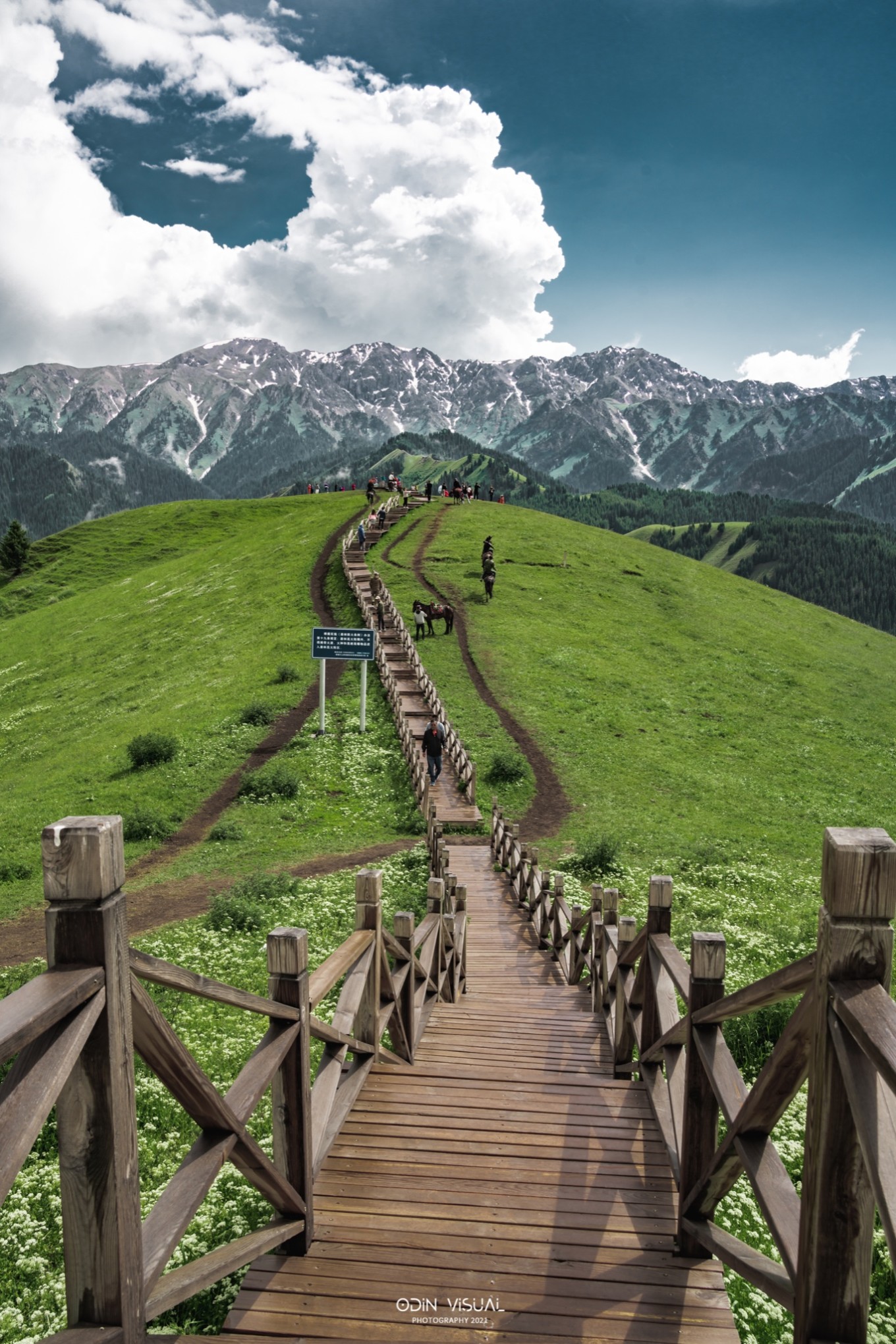 去新疆发现伊犁的美,世界之美尽在伊犁