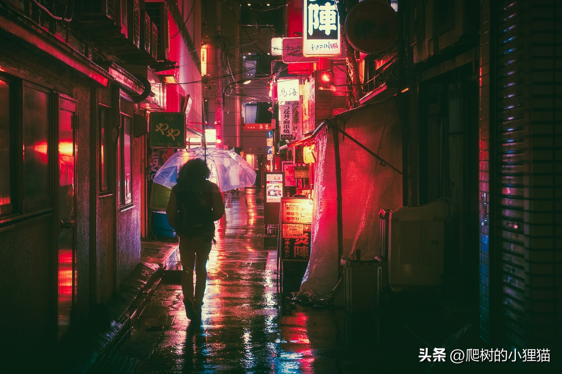 40岁往事:怪老头和他的狗