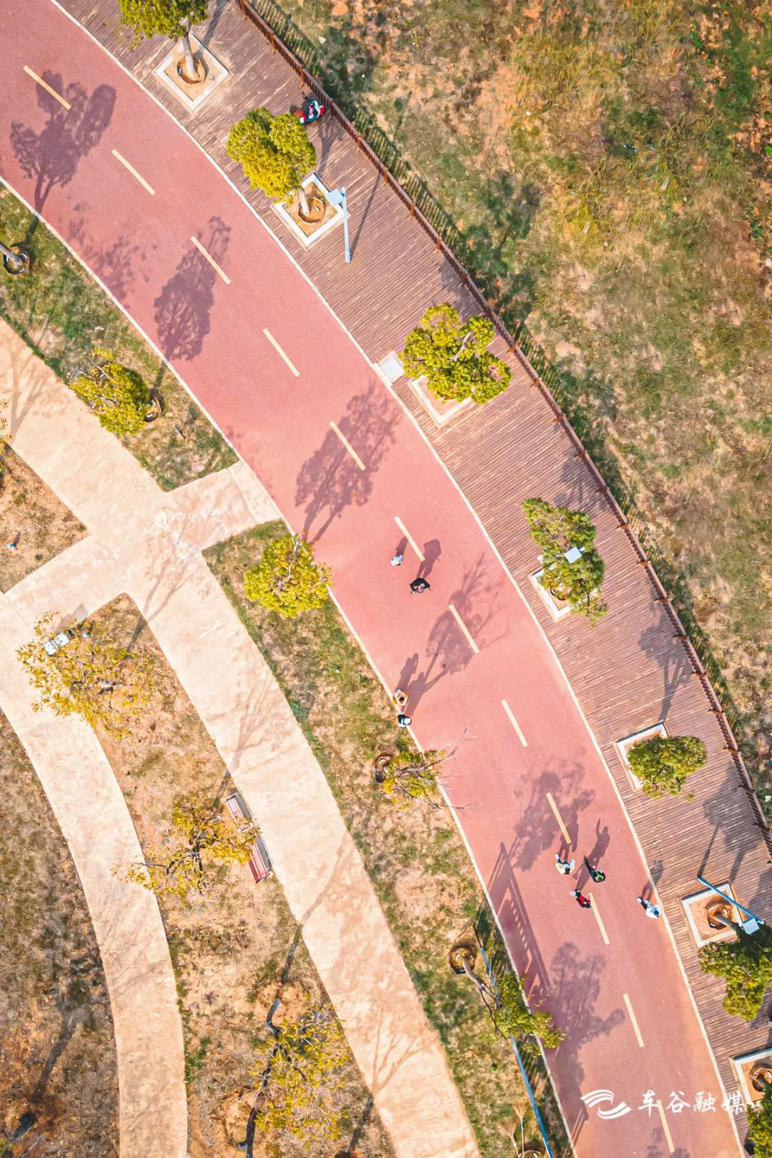 散步、慢跑、骑行……快来打卡车谷这些“高颜值”绿道