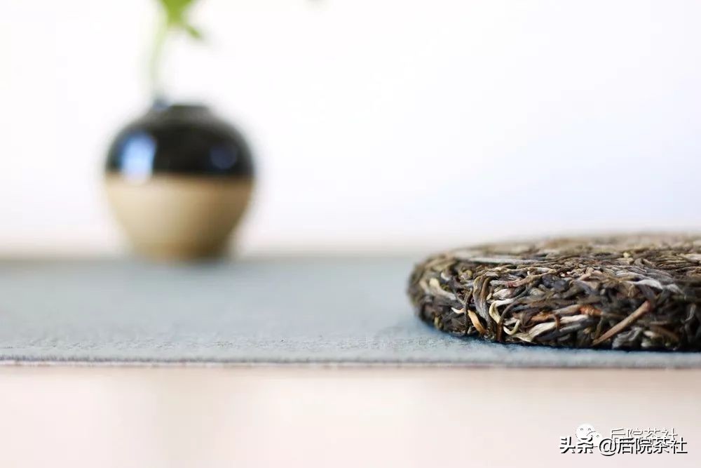 茶叶回甘原理图解大全,深度讲解茶的回甘