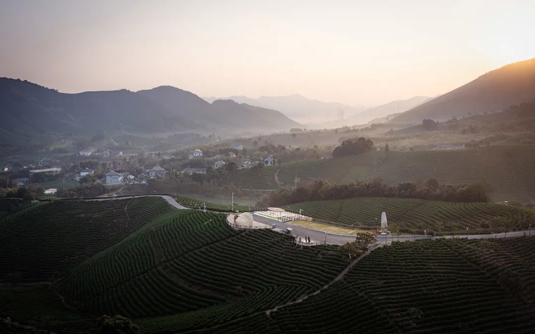 中国茶申遗成功吗,中国茶申遗成功44项名单