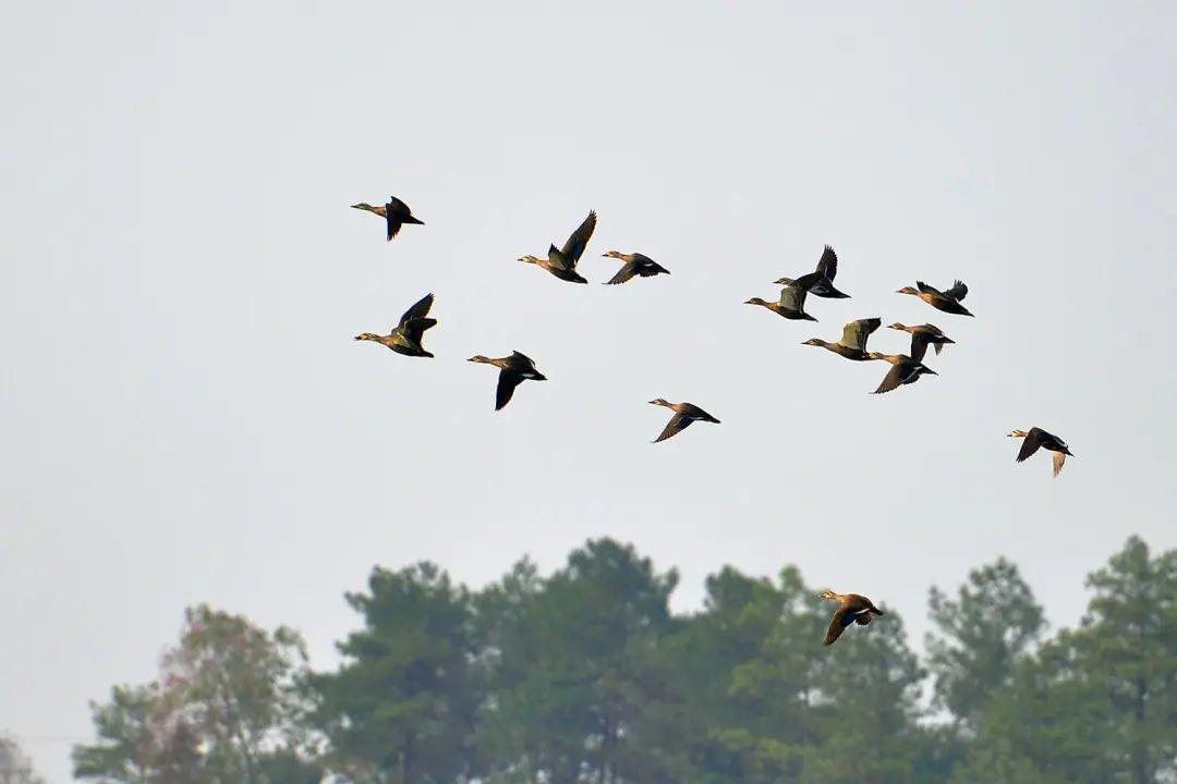 衡阳适合年轻人旅游的地方,衡阳适合年轻人玩的地方