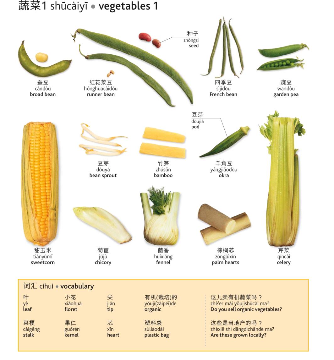 茶类饮料有哪些英语翻译,什么饮料最健康的英文翻译