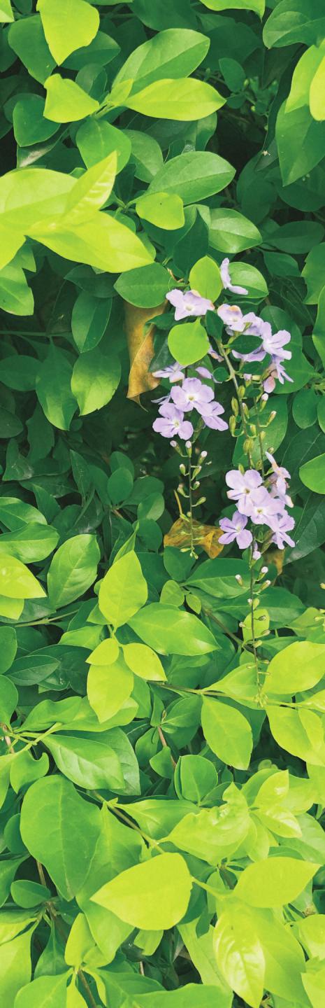 木兰风光好去处•达人带你去旅游|山环水绕清流如带——张洋村，一个藏在新县里的小村庄