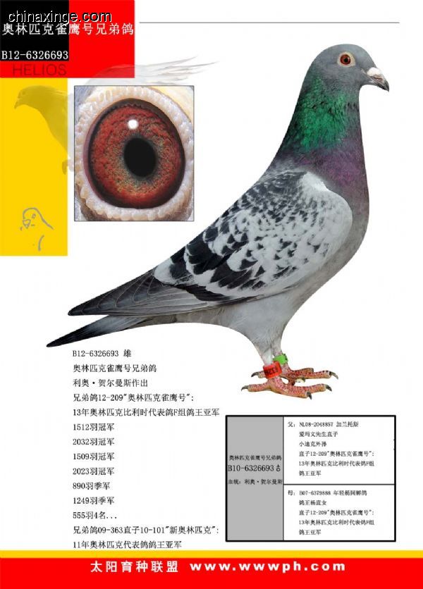 善良比利时莫里斯,比利时速度狂魔