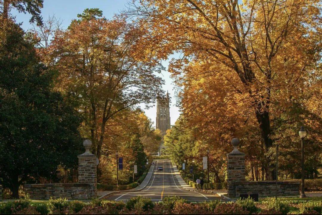 关于“美东硅谷的蓝魔”你知道多少？