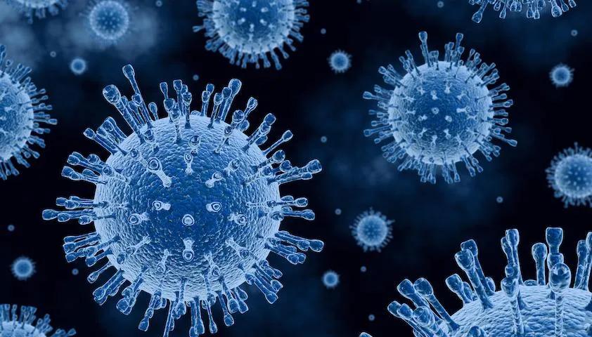 俄一地暴发细菌性炭疽病死亡率,俄罗斯哪里爆发炭疽病