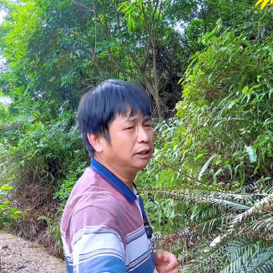 风流侠（第16集）血战恶霸#石榴哥