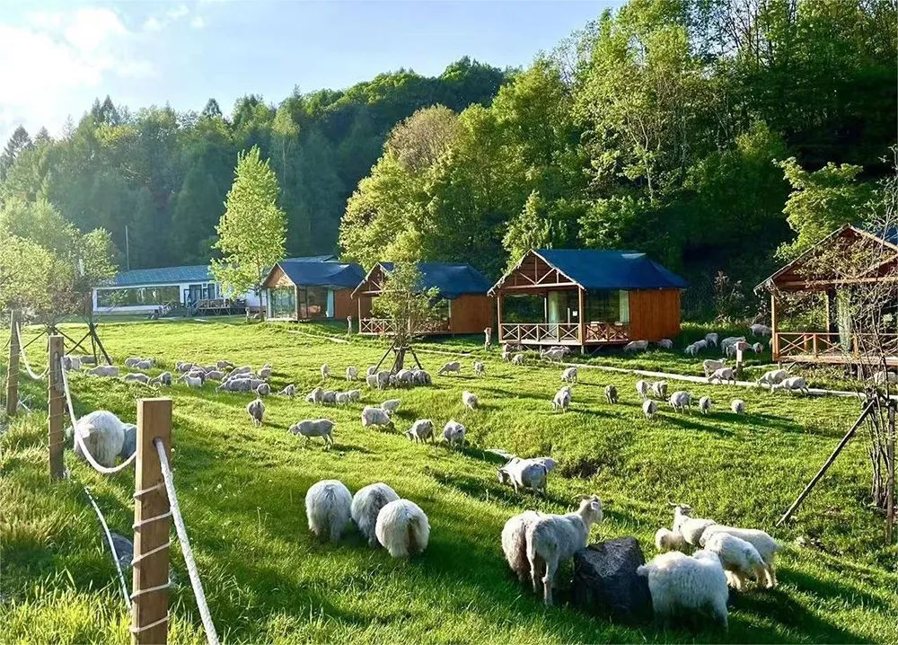 吉林白山一日游自由行攻略,白山三道沟自驾游攻略