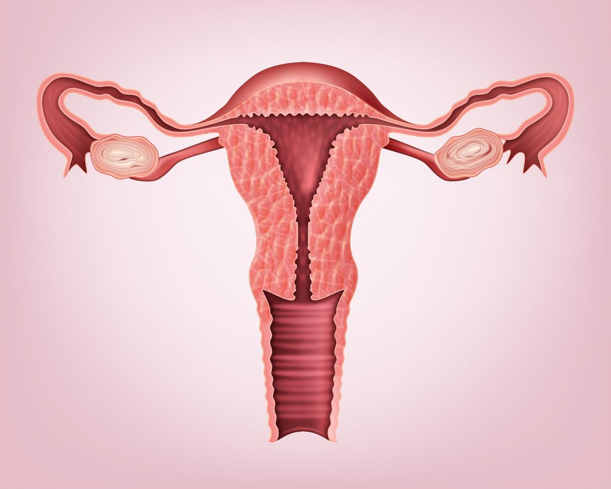 女性双子宫会怎么样,女人双子宫正常吗