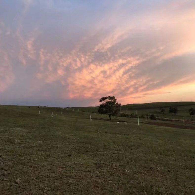 河北丰宁坝上草原特产,河北丰宁坝上草原大汗行宫